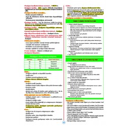 Rapidus Kampı ( 5.Baskı ) Restoratif Diş