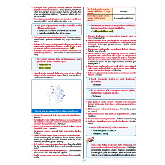 Rapidus Kampı ( 5.Baskı ) Ağız Cerrahisi