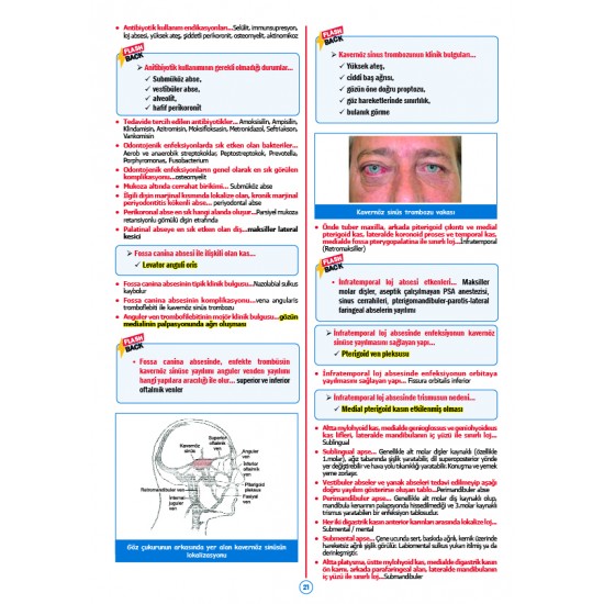 Rapidus Kampı ( 5.Baskı ) Ağız Cerrahisi
