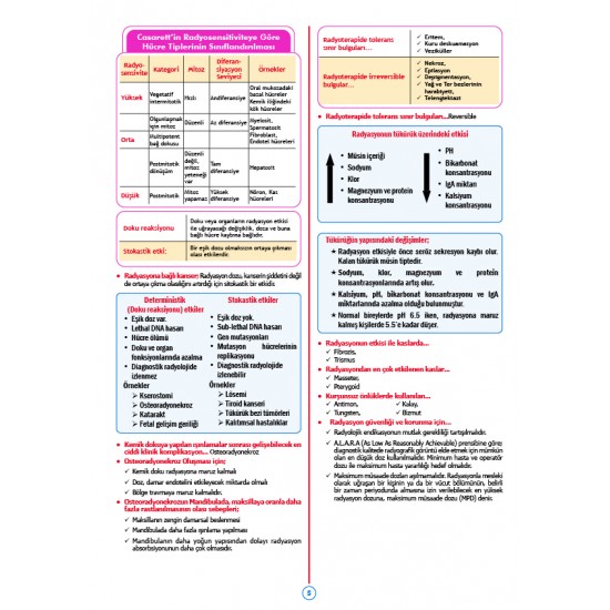 Rapidus Kampı ( 5.Baskı ) Ağız Radyoloji