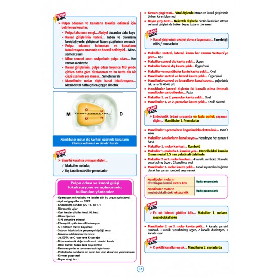 Rapidus Kampı ( 5.Baskı ) Endodonti