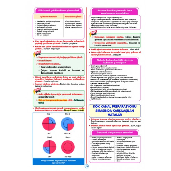Rapidus Kampı ( 5.Baskı ) Endodonti