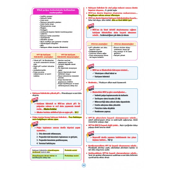 Rapidus Kampı ( 5.Baskı ) Endodonti