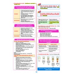 Rapidus Kampı ( 5.Baskı ) Endodonti