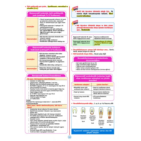 Rapidus Kampı ( 5.Baskı ) Endodonti