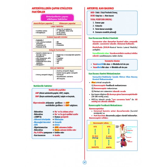 Rapidus Kampı ( 5.Baskı ) Fizyoloji
