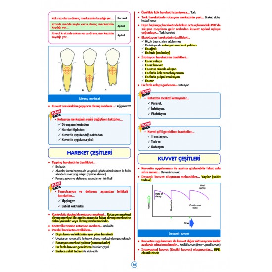 Rapidus Kampı ( 5.Baskı ) Ortodonti