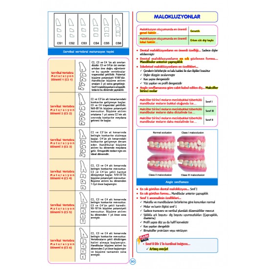 Rapidus Kampı ( 5.Baskı ) Ortodonti