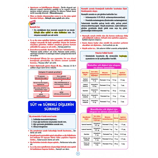 Rapidus Kampı ( 5.Baskı ) Pedodonti