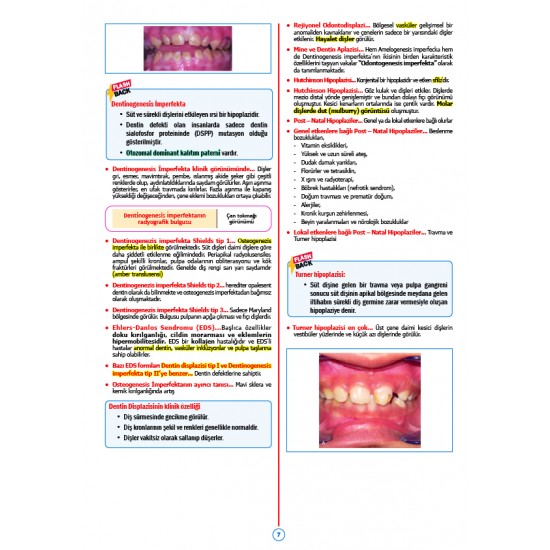 Rapidus Kampı ( 5.Baskı ) Pedodonti