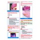 Rapidus Kampı ( 5.Baskı ) Periodontoloji