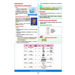 SPEETUS Kampı Mikrobiyoloji ( 5.Baskı )