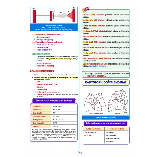 SPEETUS Kampı Pediatri ( 5.Baskı )
