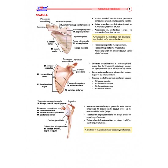 TUS Şampiyonların Notu ( 22.Baskı ) Anatomi
