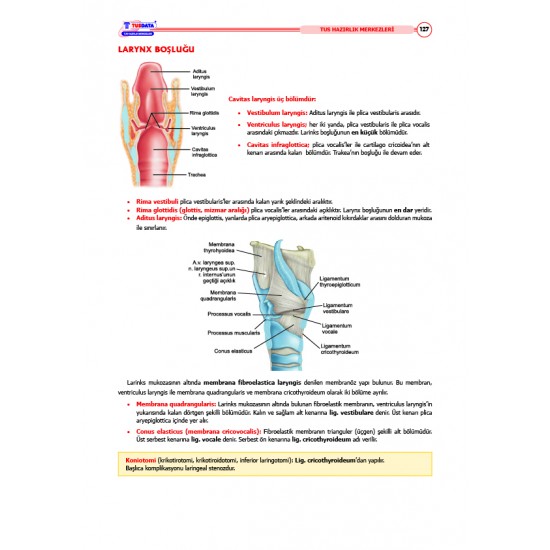 TUS Şampiyonların Notu ( 22.Baskı ) Anatomi