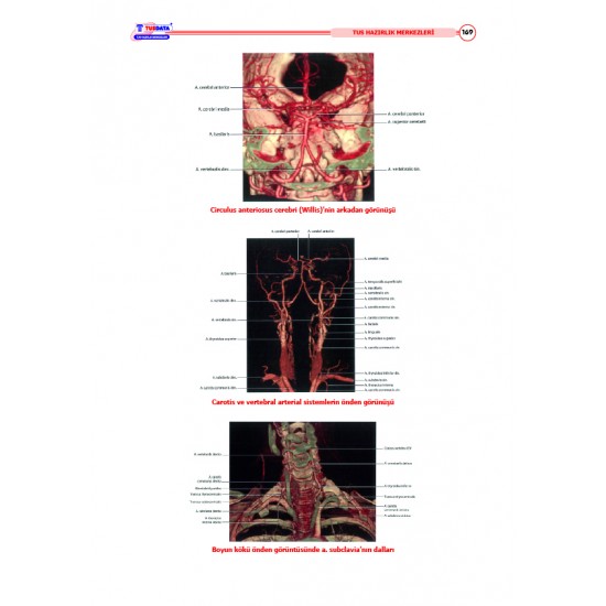 TUS Şampiyonların Notu ( 22.Baskı ) Anatomi