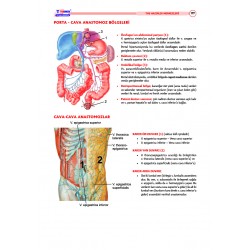 TUS Şampiyonların Notu ( 22.Baskı ) Anatomi