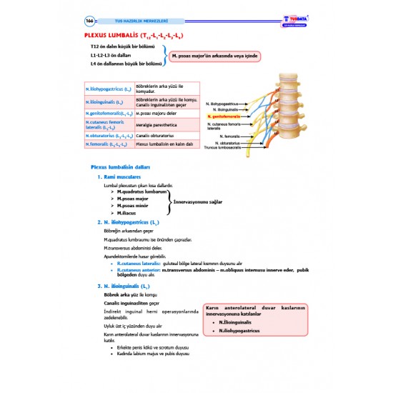 TUS Şampiyonların Notu ( 22.Baskı ) Anatomi / MUTLU ÖZBEK