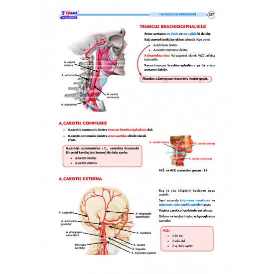 TUS Şampiyonların Notu ( 22.Baskı ) Anatomi / MUTLU ÖZBEK