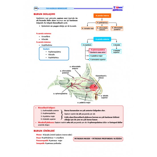 TUS Şampiyonların Notu ( 22.Baskı ) Anatomi / MUTLU ÖZBEK
