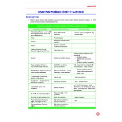 YDUS Konu Kitabı ( 13.Baskı ) Dahiliye / 1.2.Cilt
