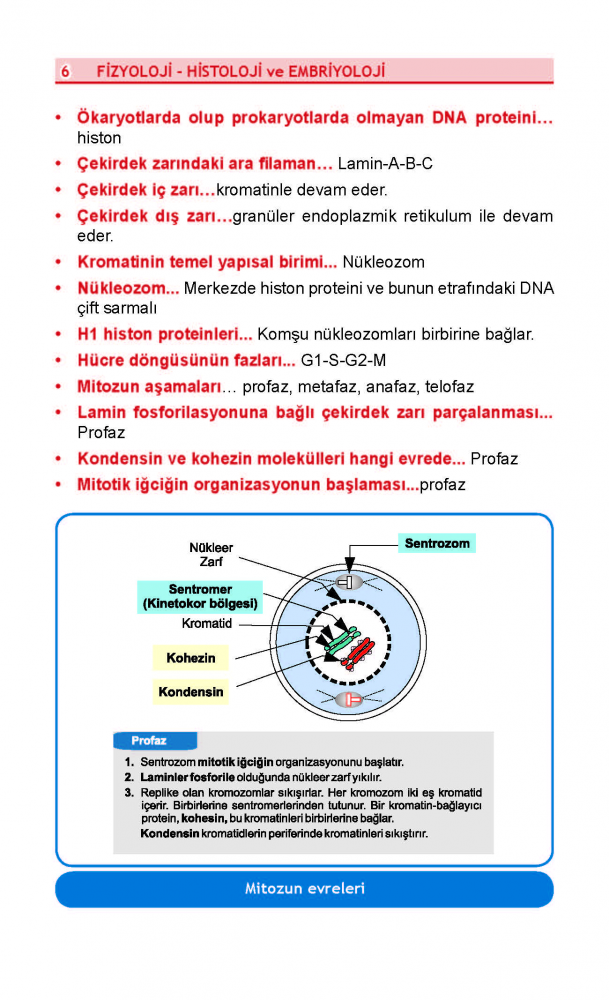 DUS Review Fizyoloji DUS Review Fizyoloji