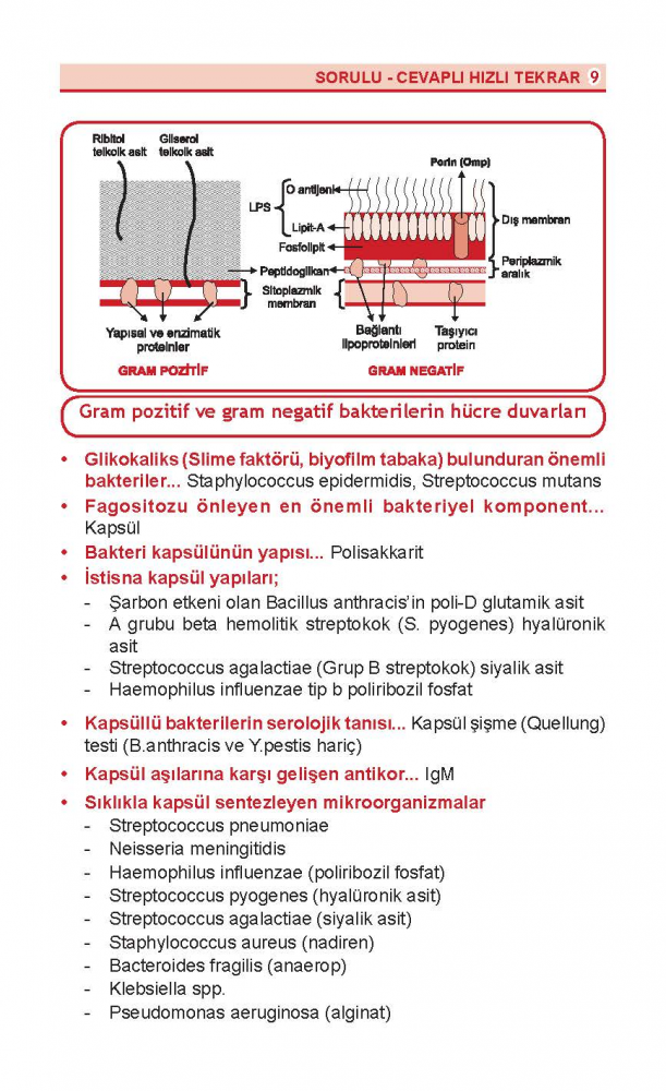 DUS Review Mikrobiyoloji DUS Review Mikrobiyoloji