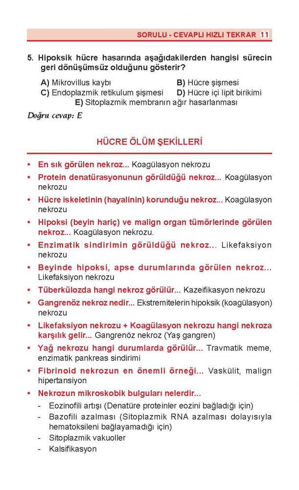 Dus Review Patoloji ve Oral Patoloji Dus Review Patoloji ve Oral Patoloji