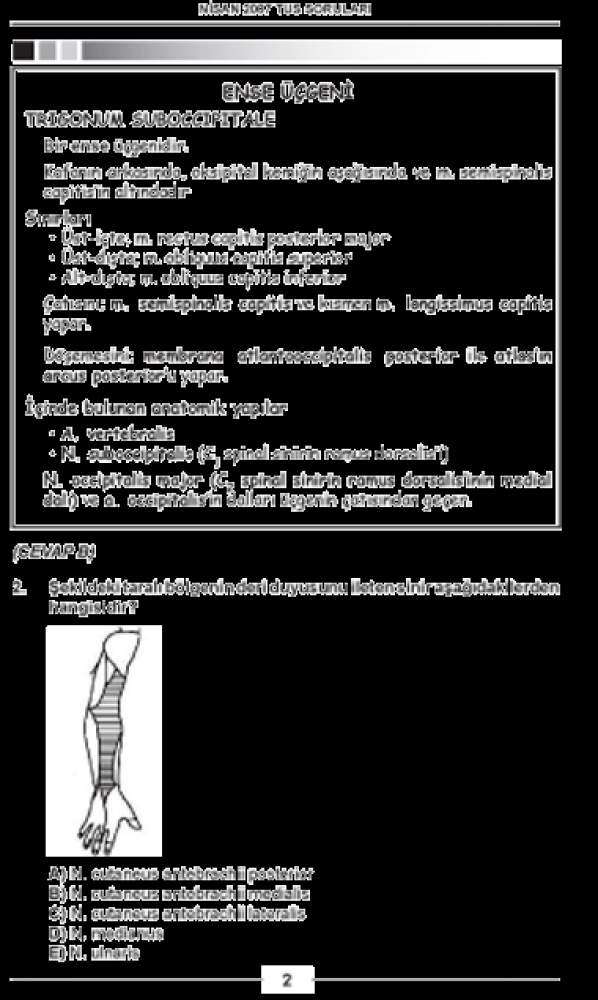 Nisan 2007 Açıklamalı Tus Soruları Nisan 2007 Açıklamalı Tus Soruları