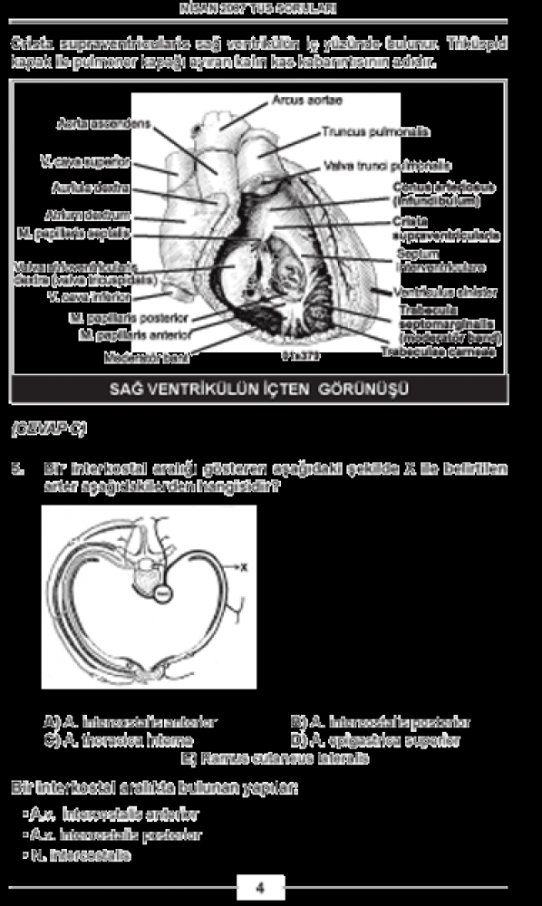 Nisan 2007 Açıklamalı Tus Soruları Nisan 2007 Açıklamalı Tus Soruları
