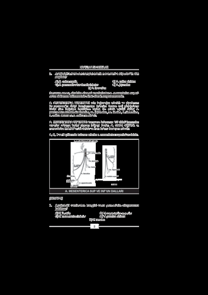 Nisan 2009 Açıklamalı Tus Soruları Nisan 2009 Açıklamalı Tus Soruları
